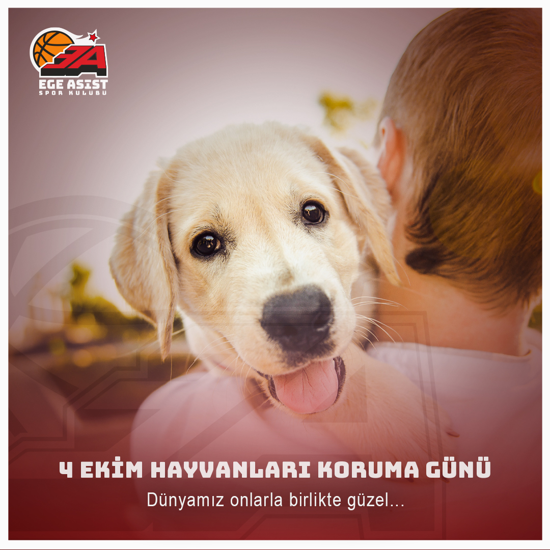 4 Ekim Hayvanları Koruma Günü